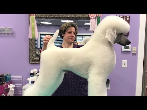 Видео: Немецкий клип-пуледел