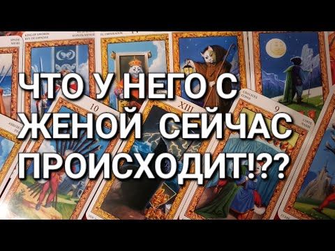 Видео: ЧТО У НЕГО С ЖЕНОЙ СЕЙЧАС  и ЧТО БУДЕТ ДАЛЬШЕ ⁉️