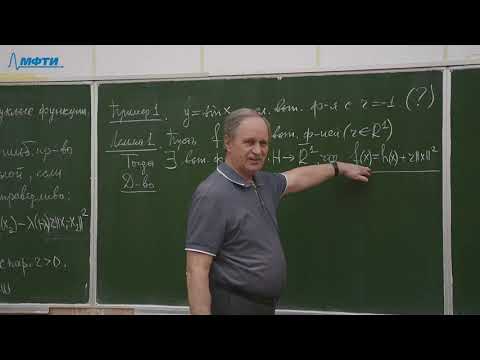 Видео: Выпуклый анализ, Половинкин Е. С. 14.05.2021г.