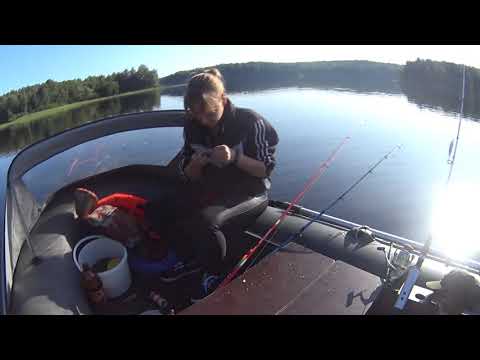 Видео: Любимовское озеро