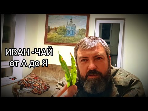 Видео: ИВАН-ЧАЙ!!! БЫСТРО,ПРОСТО,ВКУСНО/