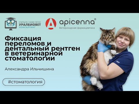 Видео: Фиксация переломов и дентальный рентген в вет.стоматологии, лектор А.Ильчишина #убвк_стоматология