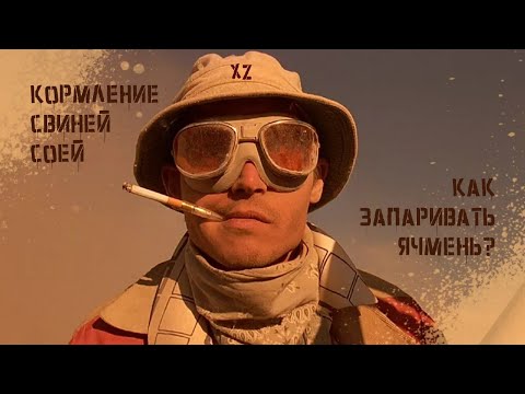 Видео: Соя- опасность для свиней
