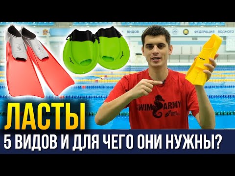 Видео: Ласты для плавания - 5 видов ласт и для чего нужны? + КОНКУРС