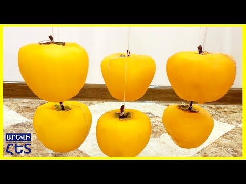 Видео: ԱՐՔԱՅԱՆԱՐՆՋԻ ՉԻՐ
СУШЁНАЯ ХУРМА/КОРОЛЕК/Dried Persimmons