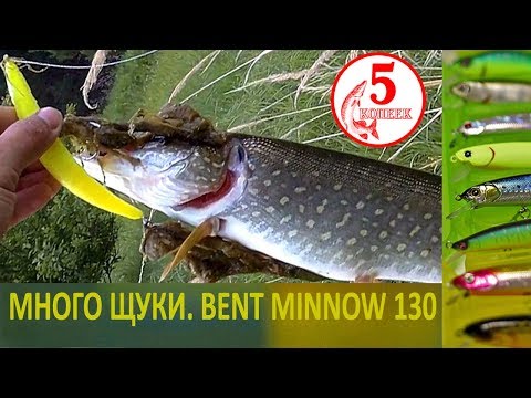 Видео: Щука клюёт на мелководье. Воблер OSP Bent Minnow 130