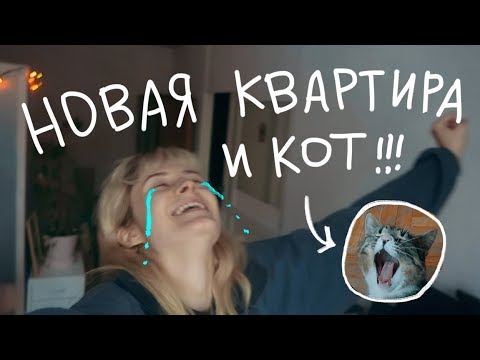 Видео: Мы переехали и взяли кота! | nixelpixel