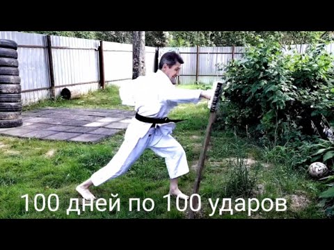 Видео: Десять тысяч ударов. Челлендж. 100 дней по 100 ударов.