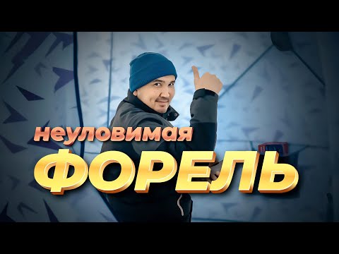Видео: И снова ФОРЕЛЬ! в 25 минутах от Астаны!