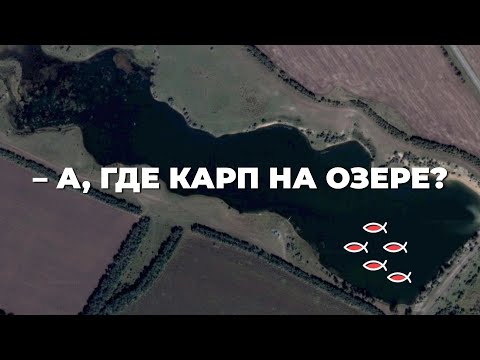 Видео: КАК НАЙТИ КАРПА НА ОЗЕРЕ