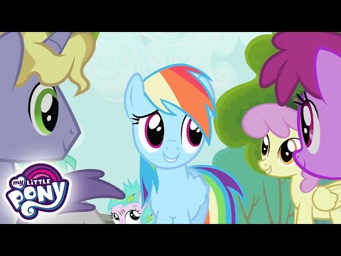 Видео: My Little Pony: Дружба — это чудо 🦄 Таинственный защитник | MLP FIM по-русски