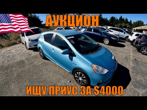 Видео: США! АУКЦИОН ЦЕЛЫХ МАШИН! ИЩУ ЖИВОЙ ГИБРИД ДО $4000!