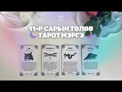 Видео: 2024.11-р сарын төлөв байдал тарот мэргэ | Ерөнхий, ажил карьер, харилцаа