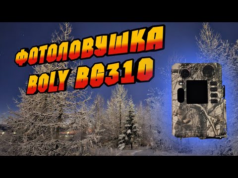 Видео: BOLY BG310 стоит ли покупать эту фотоловушку?