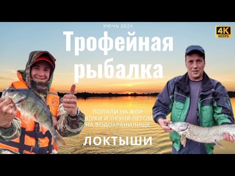 Видео: ТРОФЕЙНАЯ рыбалка летом. Попали на ЖОР. 3 дня на водохранилище ЛОКТЫШИ