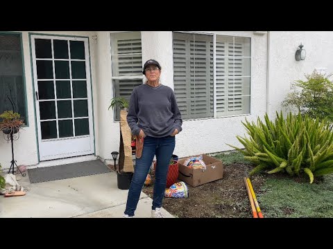 Видео: САД С СУККУЛЕНТНЫМИ ШКАТУЛКАМИ ДЛЯ ДРАГОЦЕННОСТЕЙ В ОУШЕНСАЙДЕ, ДЕНЬ 1