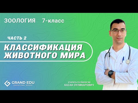 Видео: Классификация животного мира. Часть 2 |  Зоология (7 класс) |