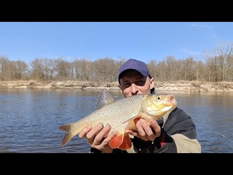 Видео: ТАКОЙ Я РЫБЫ ДАВНО НЕ ЛОВИЛ // БОРЬБА С ТРОФЕЯМИ..