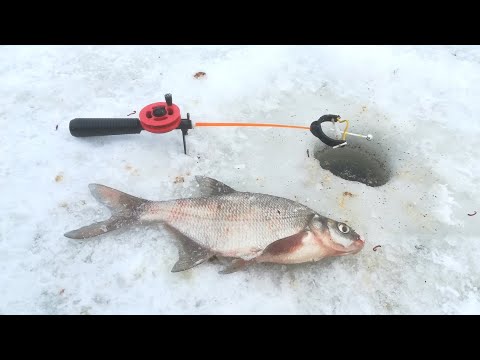 Видео: ЗИМНЯЯ РЫБАЛКА🎣 НА ЛЕЩА 2023. /ВАЗУЗСКОЕ ВОДОХРАНИЛИЩЕ-21 НАСОСНАЯ/