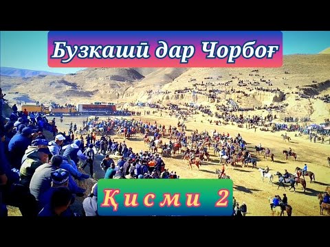 Видео: БУЗКАШӢ ДАР ЧОРБОҒ 09 11 2025 ҚИСМИ 2