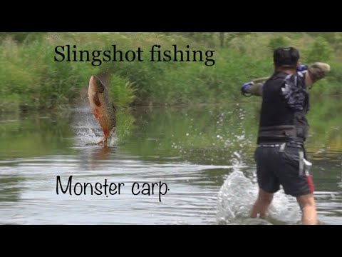 Видео: Рыбалка на Крупного Сазана. Рыбалка С рогаткой онлайн.Monster. Slingshot fishing online