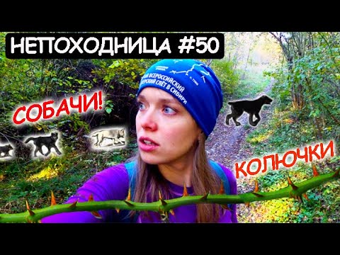 Видео: В ПОХОДЕ. ЗРЯ Я РЕШИЛА СОКРАТИТЬ ПУТЬ. НЕПОХОДНИЦА