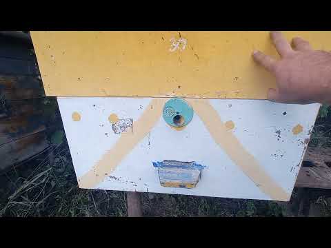 Видео: УЛЕЙ из ШКАФА. Самый бюджетный улей из ДСП еще один вариант улья из вторсырья.