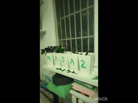 Видео: Великий автобус / продала дещо