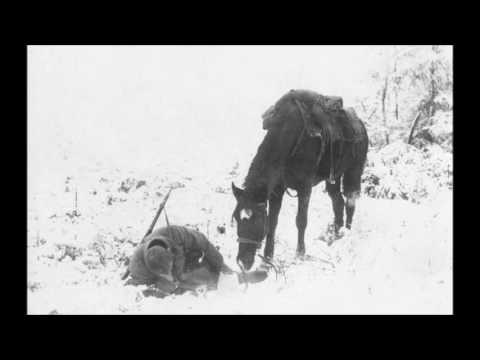 Видео: Chant cosaque - Поехал казак на чужбину