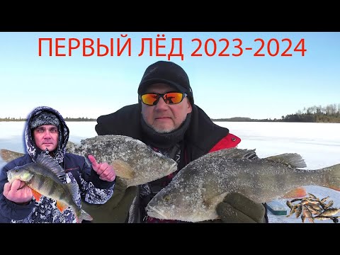 Видео: ПЕРВЫЙ ЛЁД 2023-2024. КРУПНЫЙ ОКУНЬ. Рыбалка на Кукушкиных озёрах.