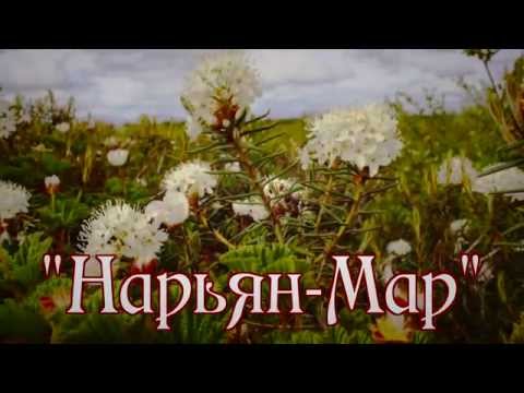 Видео: "Нарьян Мар". Поёт Валерий Сёмин-группа "Белый день"