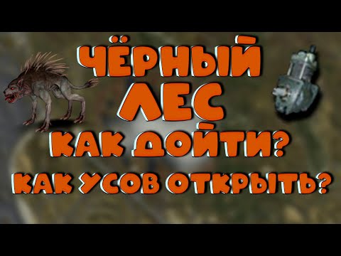 Видео: Stalker Online (stay out)ЧЁРНЫЙ ЛЕС КАК ДОЙТИ ДО СЕЛО КРАСНО КАК ОТКРЫТЬ КЛАДОВЩИКА И ПАРУ КВЕСТОВ!!