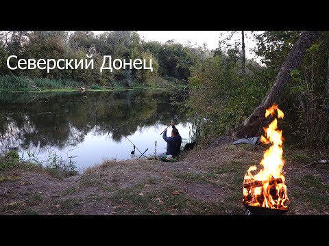 Видео: 24 часа рыбалка на дикой реке / Люля кебабы на углях