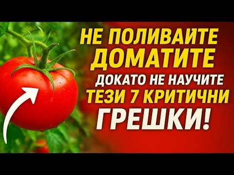 Видео: НЕ ПОЛИВАЙТЕ ДОМАТИТЕ, докато не научите тези 7 критични грешки!