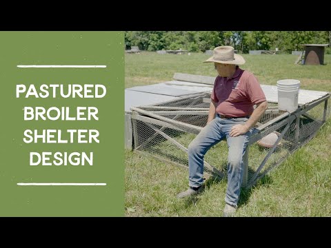 Видео: Бройлерный павильон Джоэла Салатина для пастбищных мясных цыплят/бройлеров (он же Chicken Tractor)