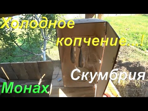 Видео: Холодное копчение скумбрии дымогенератором Хобби Смок/Hobbi Smoke 2.0+/ Моё первое холодное копчение