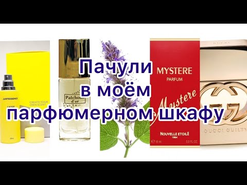 Видео: Нота пачули в ароматах бюджетного сегмента