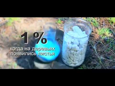 Видео: Как приготовить бордоскую жидкость?