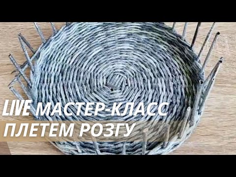 Видео: Плетение розги из бумажной лозы в прямом эфире | Лозамастер