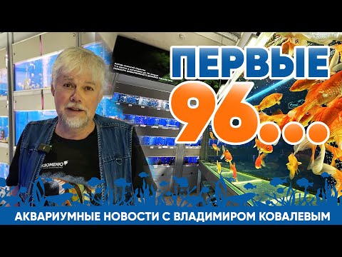 Видео: Новости аквариумного магазина с Владимиром Ковалевым (21.06.24). ПЕРВЫЕ 96...