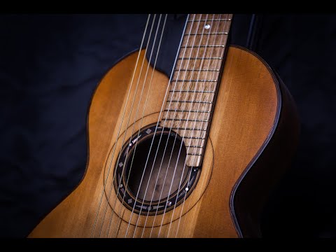 Видео: РЕСТАВРАЦИЯ РЕДЧАЙШЕЙ двухгрифной гитары в Carmina_Guitars. Restoration of a two-Fretboarded guitar.