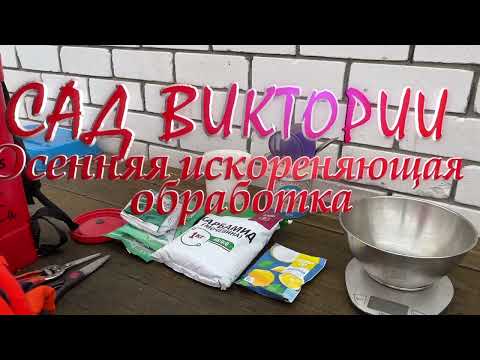 Видео: #Осенняяискореняющаяобработка#железныйкупорос#рецептздоровогосада#осенниеработывсаду#гортензии