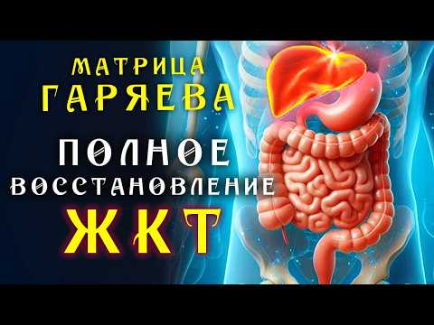 Видео: Мощная Матрица Гаряева для ЖКТ ☀️ Квантовое исцеление звуком ☀️Оздоравливающая Медитация