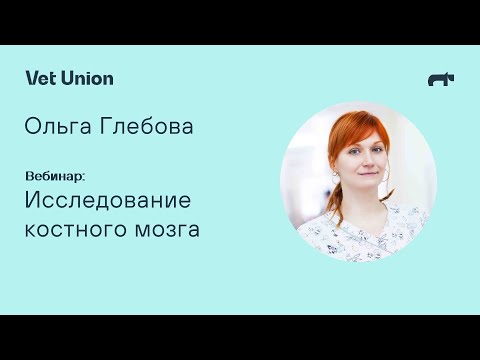 Видео: Исследование костного мозга