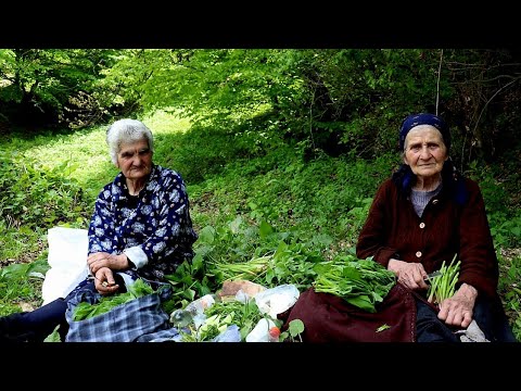 Видео: Գնում ենք հանդ հավաքելու (Մաս 1) Природа Чистый воздух,что ещё надо(часть 1) Шамшадин Շամշադինի Համը