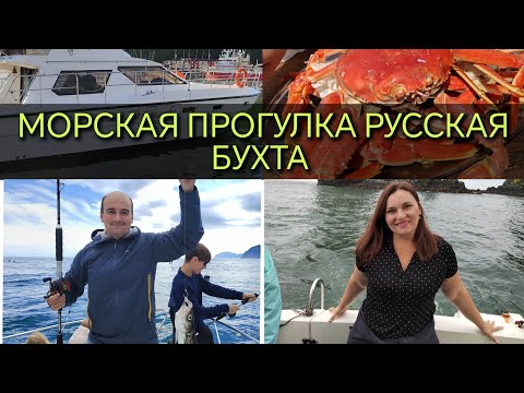 Видео: КОСАТКИ в Тихом океане! МЫ ИХ УВИДЕЛИ🥰КАМЧАТКА 2024 #камчатка#косатка#киты