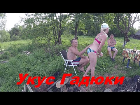 Видео: КУПИЛ ХУТОР в ЛЕСУ на краю БОЛОТА. Часть 46. МОЮ СОБАКУ укусила ГАДЮКА. Копченая закуска к пиву.
