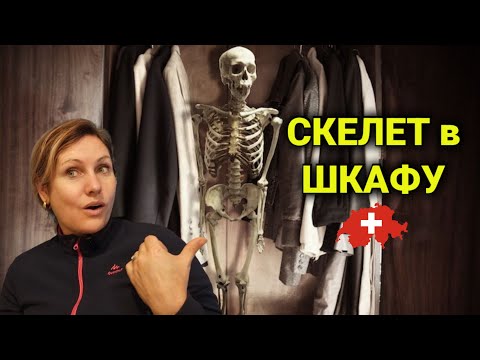 Видео: каждый день новости и удивления| нашли счета свекрови|  инвестиции в Швейцарии