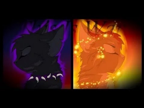 Видео: коты воители:день ночь