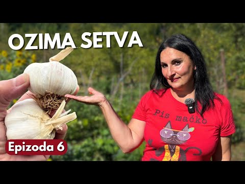 Видео: Озимый Посев, Улучшения и Ранний Мороз - Зимний Сад Эп. 6